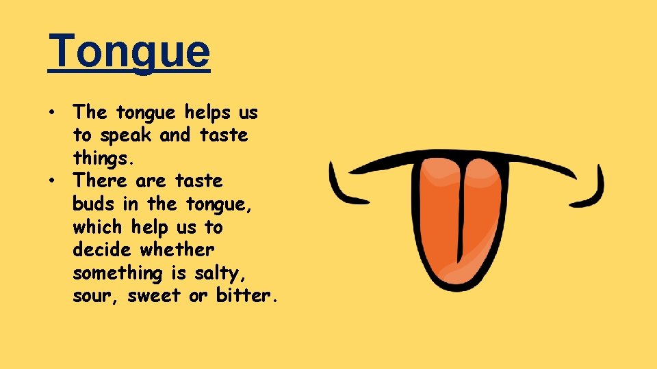 Tongue • The tongue helps us to speak and taste things. • There are