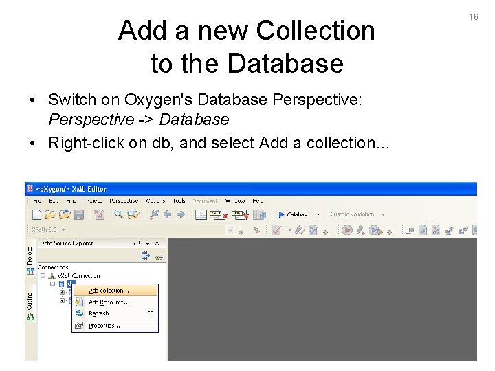 Add a new Collection to the Database • Switch on Oxygen's Database Perspective: Perspective
