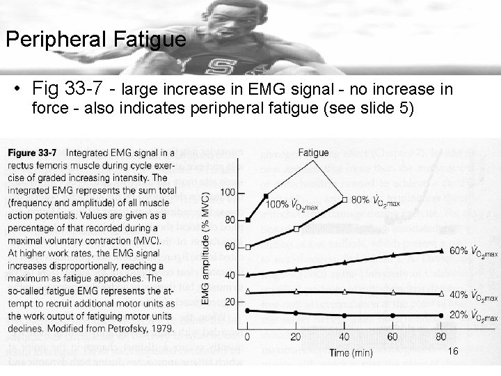 Peripheral Fatigue • Fig 33 -7 - large increase in EMG signal - no