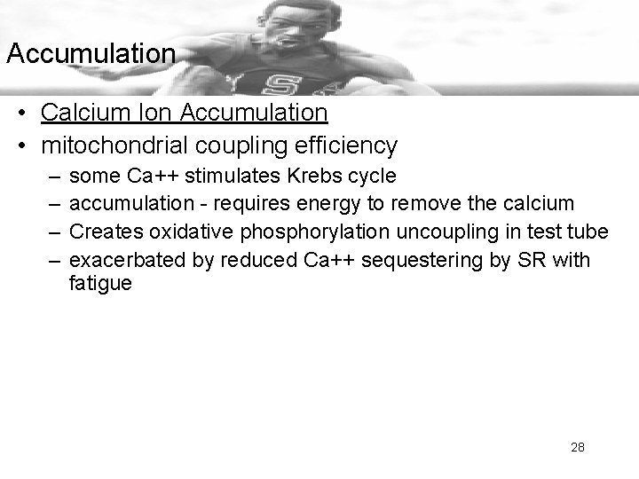Accumulation • Calcium Ion Accumulation • mitochondrial coupling efficiency – – some Ca++ stimulates