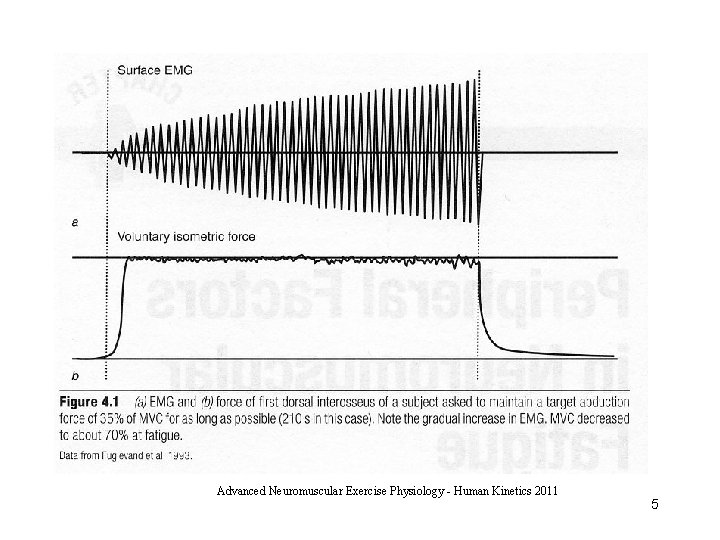 Advanced Neuromuscular Exercise Physiology - Human Kinetics 2011 5 