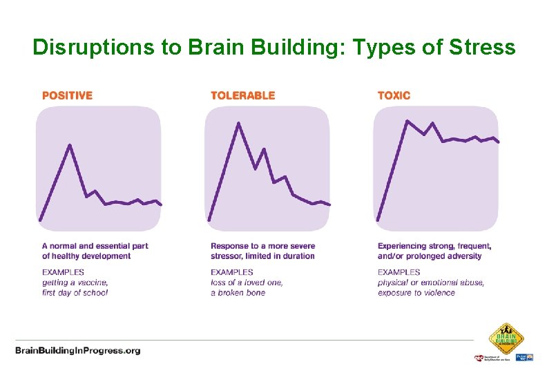 Disruptions to Brain Building: Types of Stress 