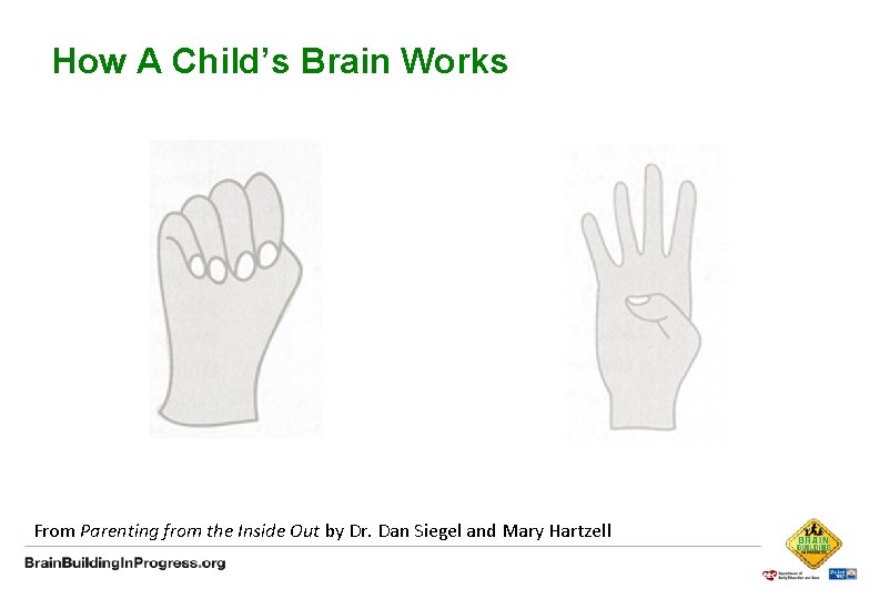 How A Child’s Brain Works From Parenting from the Inside Out by Dr. Dan