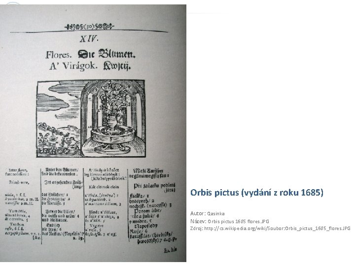 Orbis pictus (vydání z roku 1685) Autor: Qasinka Název: Orbis pictus 1685 flores. JPG