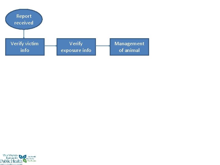 Report received Verify victim info Verify exposure info Management of animal 