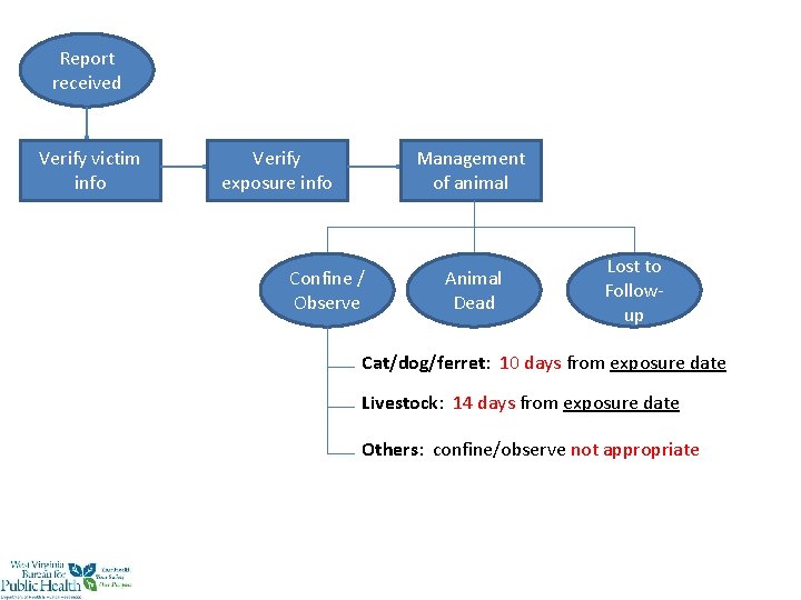 Report received Verify victim info Verify exposure info Management of animal Confine / Observe