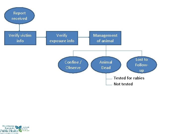 Report received Verify victim info Verify exposure info Confine / Observe Management of animal