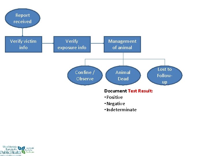 Report received Verify victim info Verify exposure info Confine / Observe Management of animal