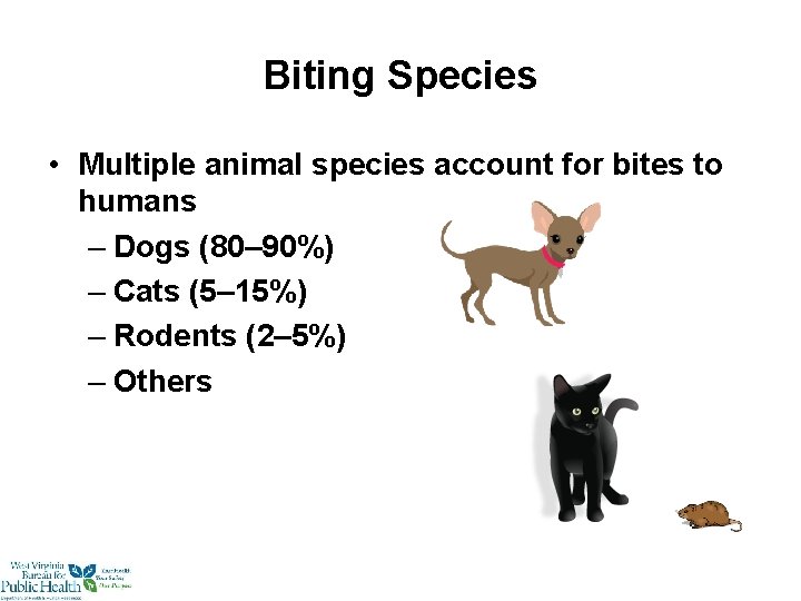 Biting Species • Multiple animal species account for bites to humans – Dogs (80–