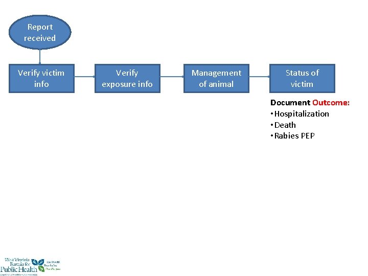 Report received Verify victim info Verify exposure info Management of animal Status of victim