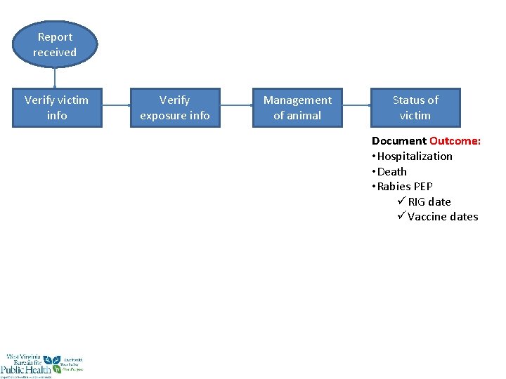 Report received Verify victim info Verify exposure info Management of animal Status of victim