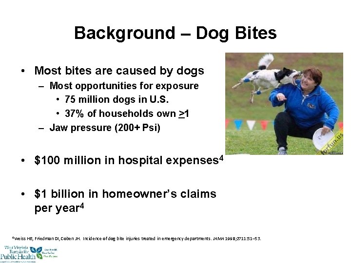 Background – Dog Bites • Most bites are caused by dogs – Most opportunities