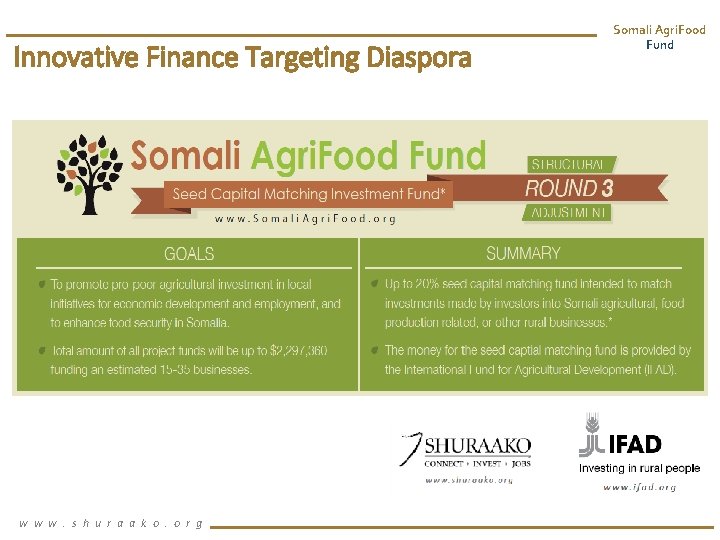 Innovative Finance Targeting Diaspora w w w. s h u r a a k