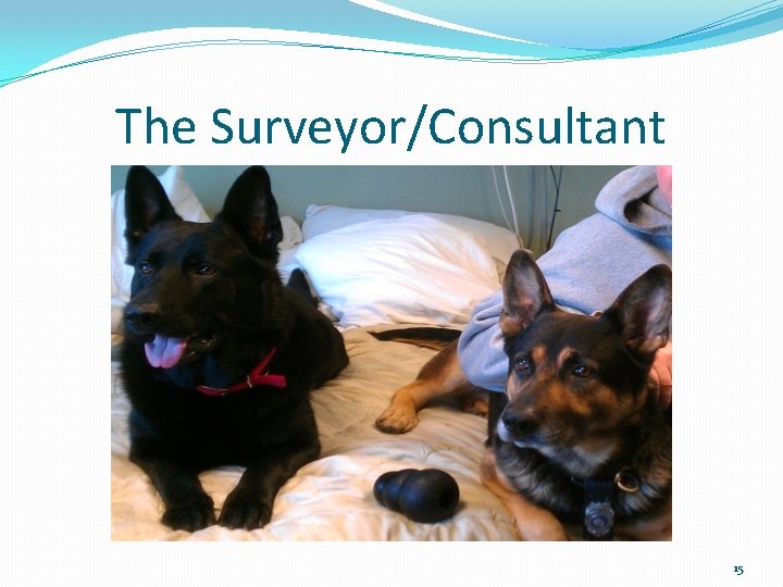 The Surveyor/Consultant 15 