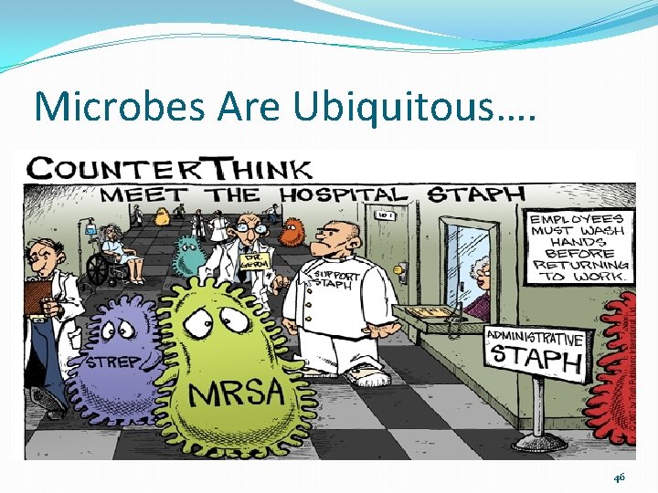 Microbes Are Ubiquitous…. 46 