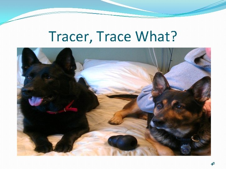 Tracer, Trace What? 48 