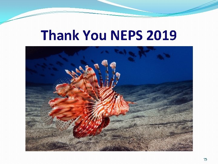 Thank You NEPS 2019 75 