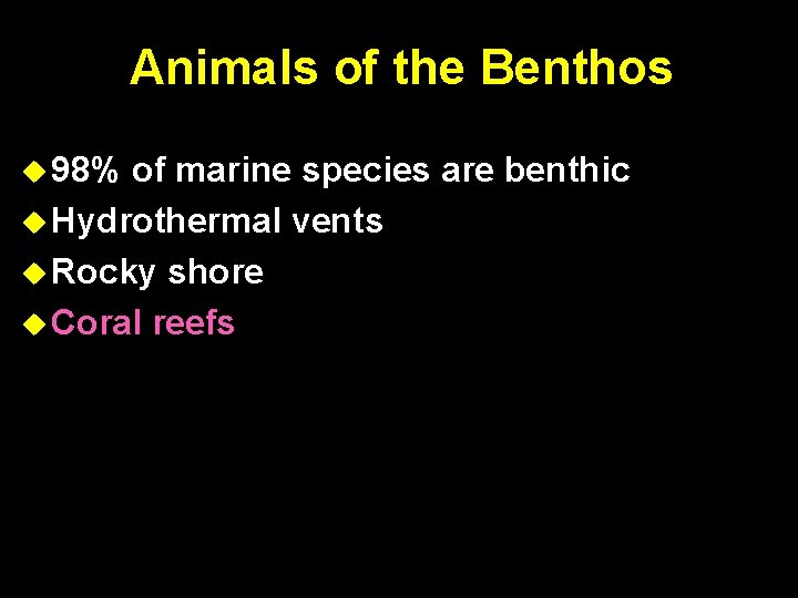 Animals of the Benthos 98% of marine species are benthic Hydrothermal vents Rocky shore