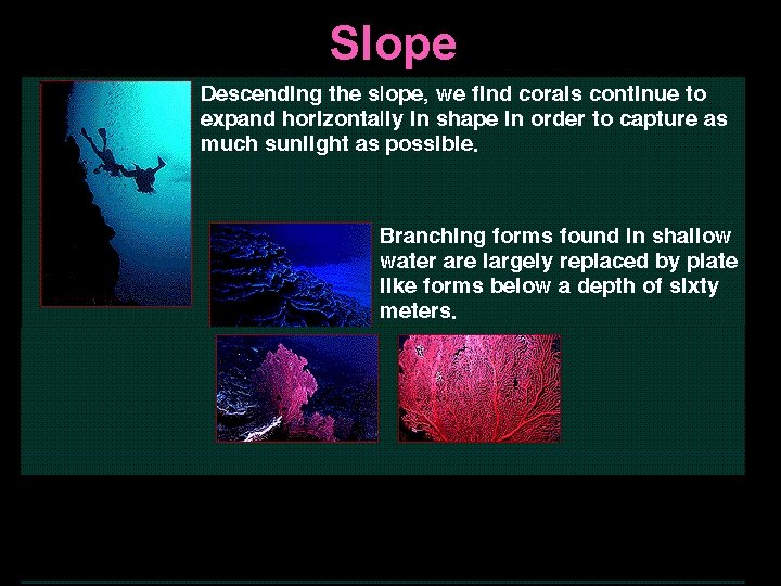 Slope 