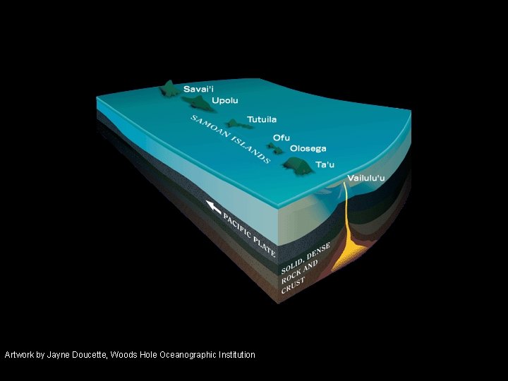 Artwork by Jayne Doucette, Woods Hole Oceanographic Institution 