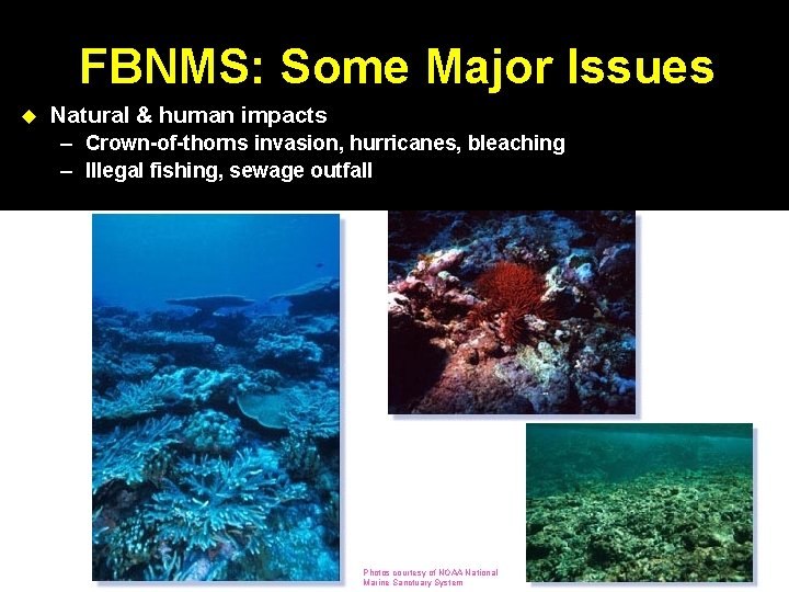 FBNMS: Some Major Issues Natural & human impacts – Crown-of-thorns invasion, hurricanes, bleaching –