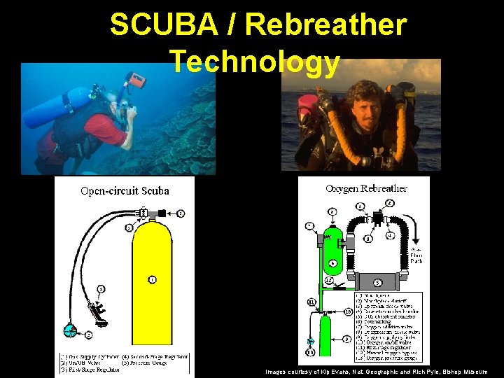 SCUBA / Rebreather Technology Images courtesy of Kip Evans, Nat. Geographic and Rich Pyle,