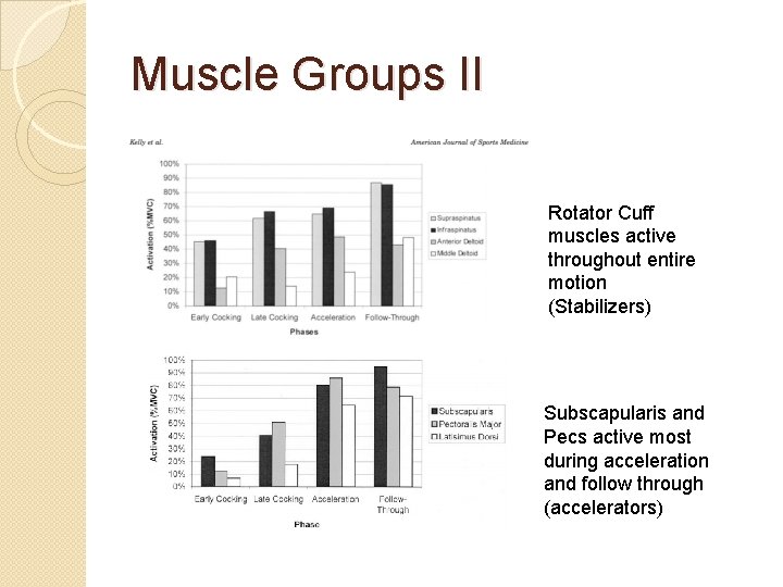 Muscle Groups II Rotator Cuff muscles active throughout entire motion (Stabilizers) Subscapularis and Pecs