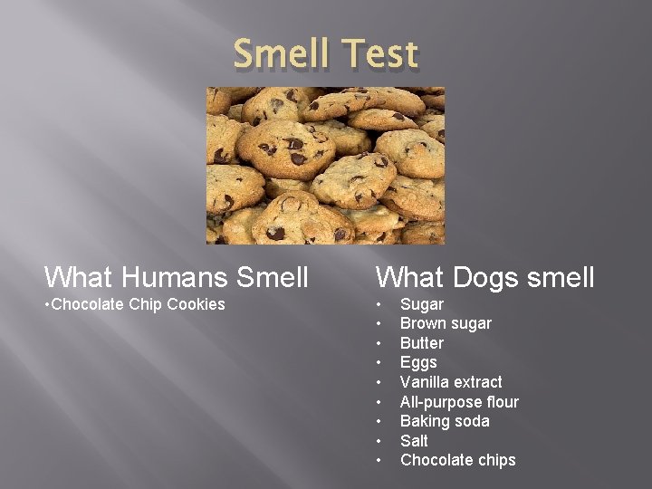 Smell Test What Humans Smell What Dogs smell • Chocolate Chip Cookies • •