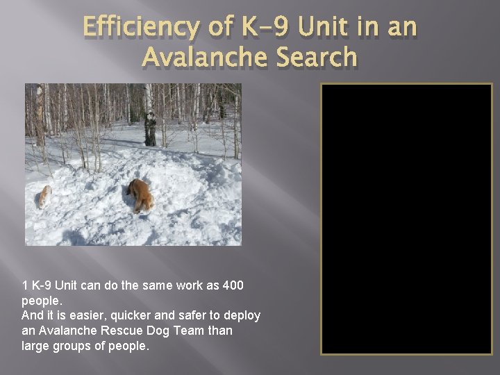 Efficiency of K-9 Unit in an Avalanche Search 20 humans 30 minutes 20 human