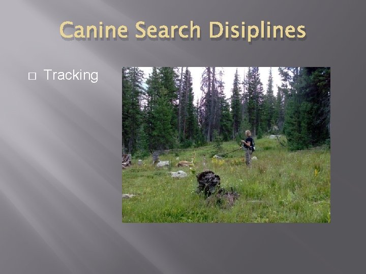 Canine Search Disiplines � Tracking 
