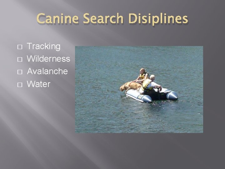 Canine Search Disiplines � � Tracking Wilderness Avalanche Water 