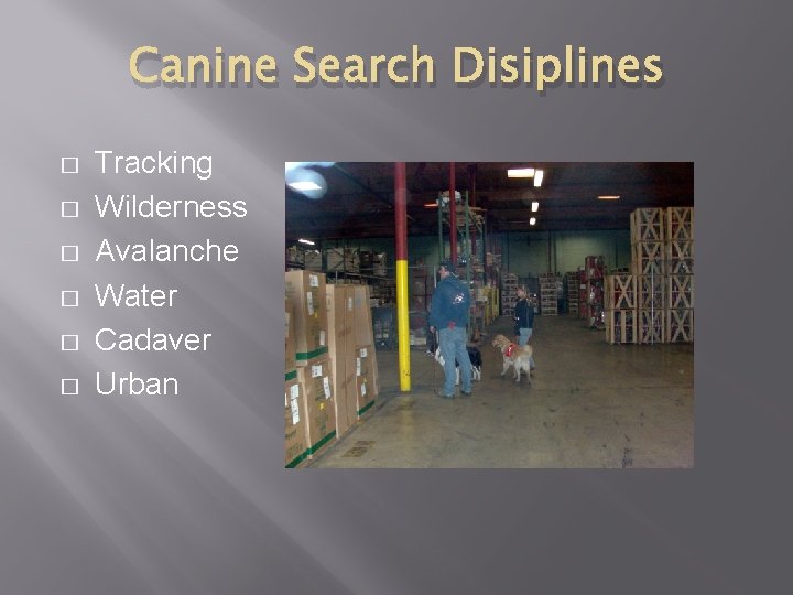 Canine Search Disiplines � � � Tracking Wilderness Avalanche Water Cadaver Urban 