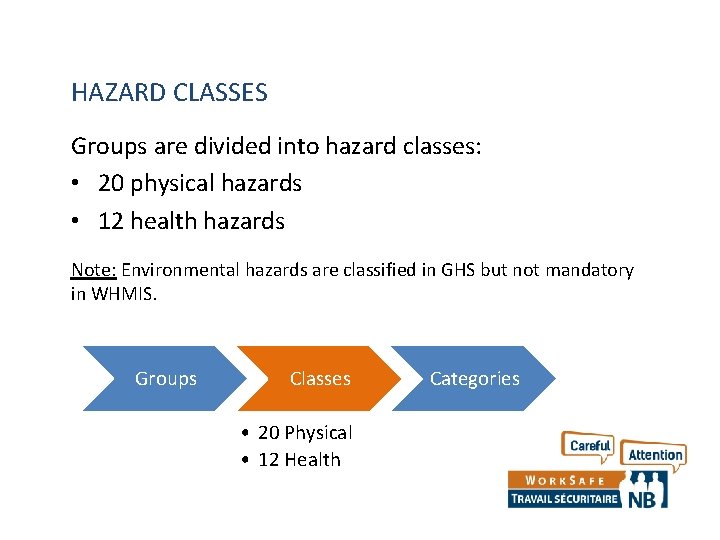 HAZARD CLASSES Groups are divided into hazard classes: • 20 physical hazards • 12