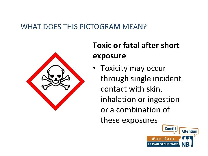 WHAT DOES THIS PICTOGRAM MEAN? Toxic or fatal after short exposure • Toxicity may