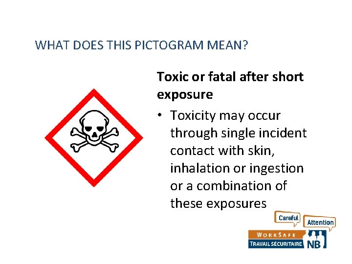 WHAT DOES THIS PICTOGRAM MEAN? Toxic or fatal after short exposure • Toxicity may WHAT DOES THIS PICTOGRAM MEAN? Toxic or fatal after short exposure • Toxicity may