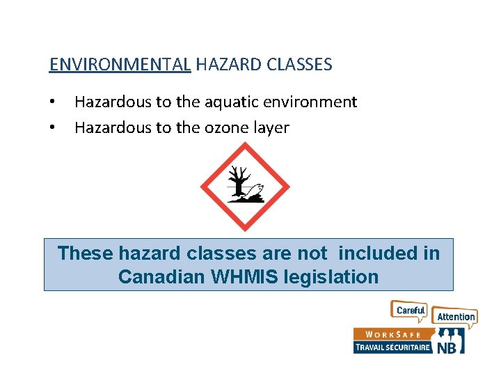 ENVIRONMENTAL HAZARD CLASSES • • Hazardous to the aquatic environment Hazardous to the ozone