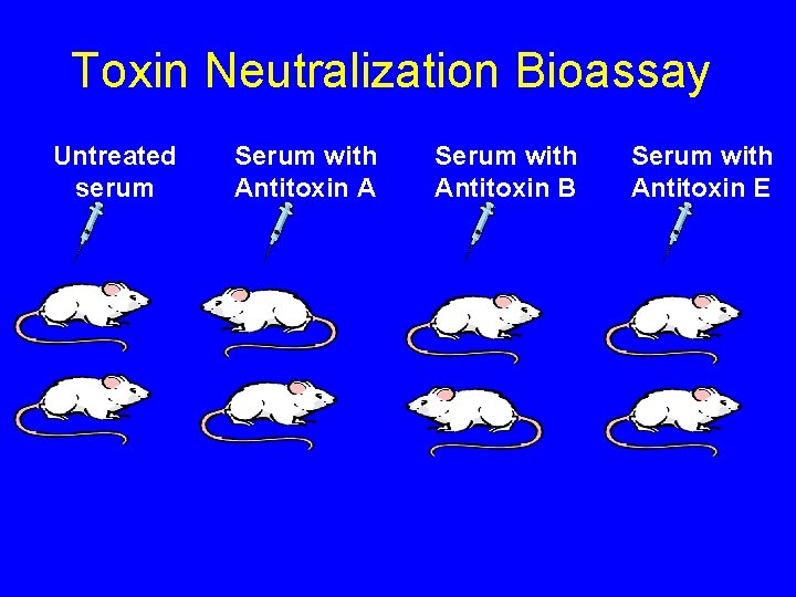 Toxin Neutralization Bioassay Untreated serum Serum with Antitoxin A Serum with Antitoxin B Serum