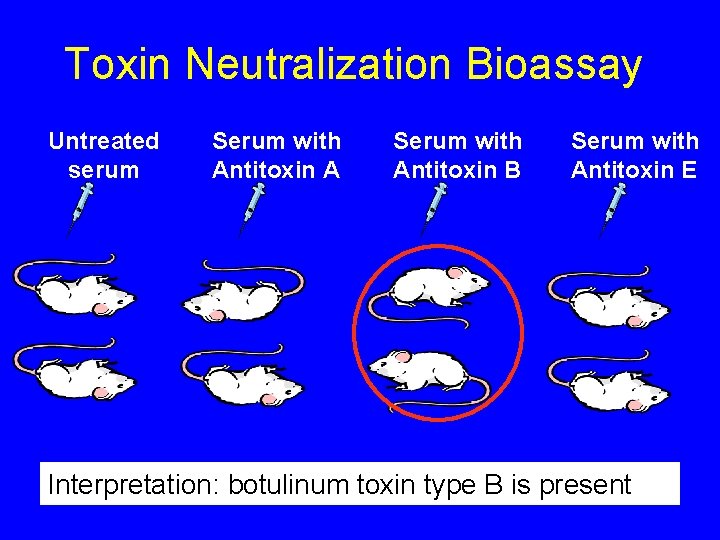 Toxin Neutralization Bioassay Serum with Antitoxin B Serum with Antitoxin E 1 B 2