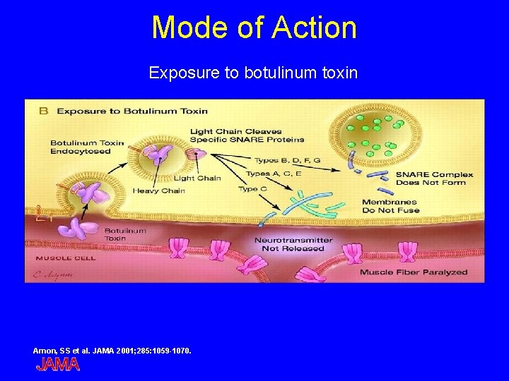 Mode of Action Exposure to botulinum toxin Arnon, SS et al. JAMA 2001; 285: