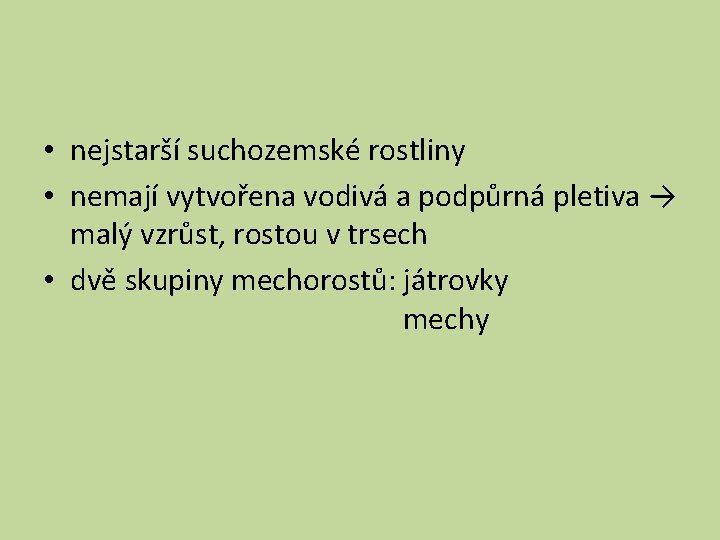  • nejstarší suchozemské rostliny • nemají vytvořena vodivá a podpůrná pletiva → malý