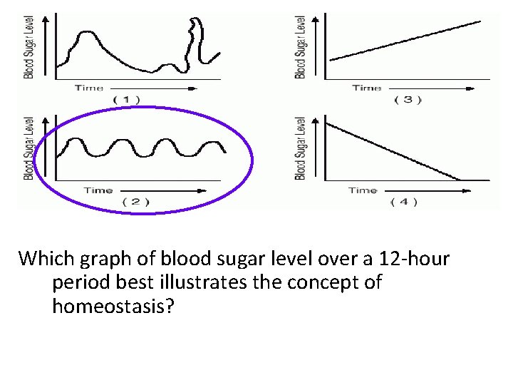 Which graph of blood sugar level over a 12 -hour period best illustrates the