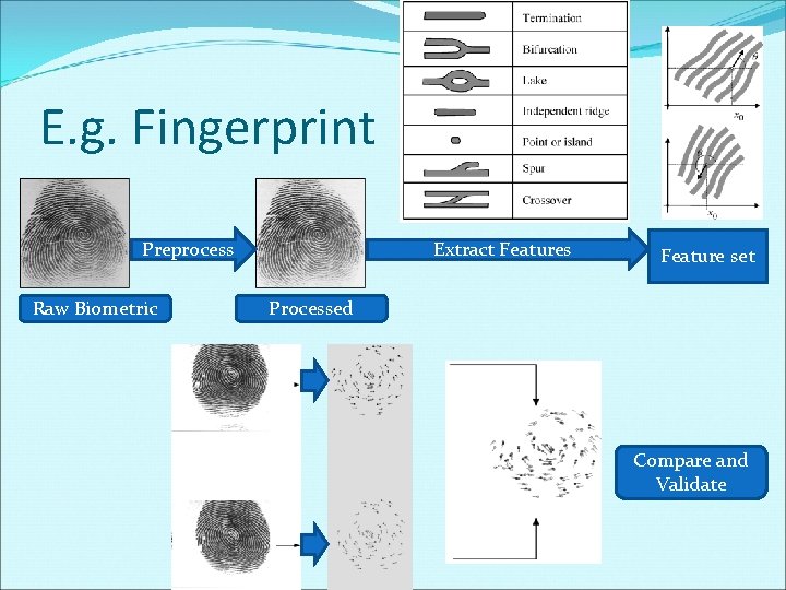E. g. Fingerprint Preprocess Raw Biometric Extract Features Feature set Processed Compare and Validate