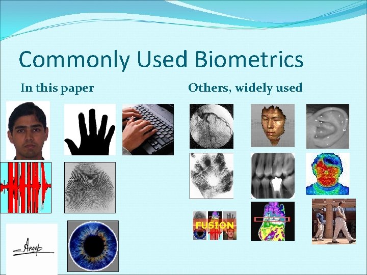 Commonly Used Biometrics In this paper Others, widely used 