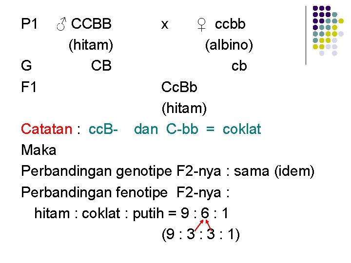 P 1 G F 1 ♂ CCBB (hitam) CB x ♀ ccbb (albino) cb