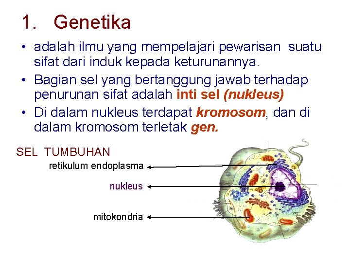 1. Genetika • adalah ilmu yang mempelajari pewarisan suatu sifat dari induk kepada keturunannya.