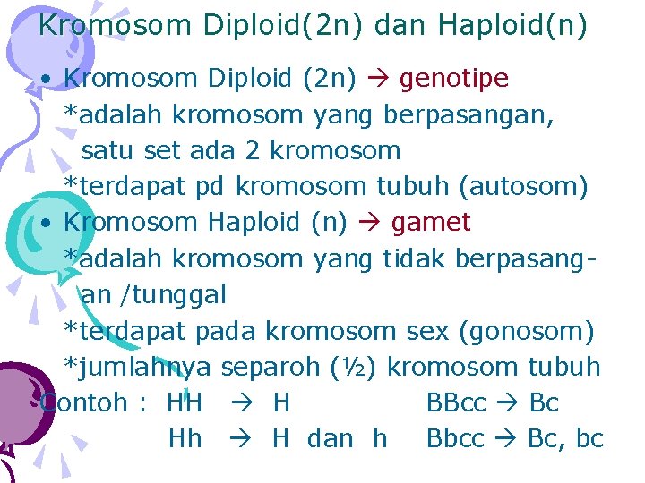 Kromosom Diploid(2 n) dan Haploid(n) • Kromosom Diploid (2 n) genotipe *adalah kromosom yang