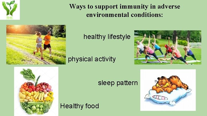 Ways to support immunity in adverse environmental conditions: healthy lifestyle physical activity sleep pattern