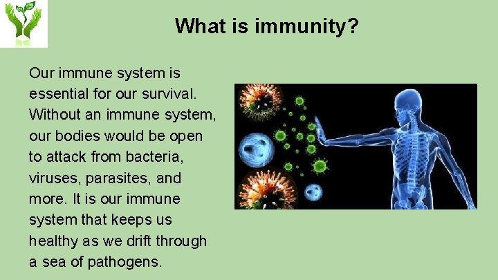 What is immunity? Our immune system is essential for our survival. Without an immune