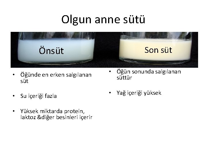 Olgun anne sütü Önsüt • Öğünde en erken salgılanan süt • Su içeriği fazla