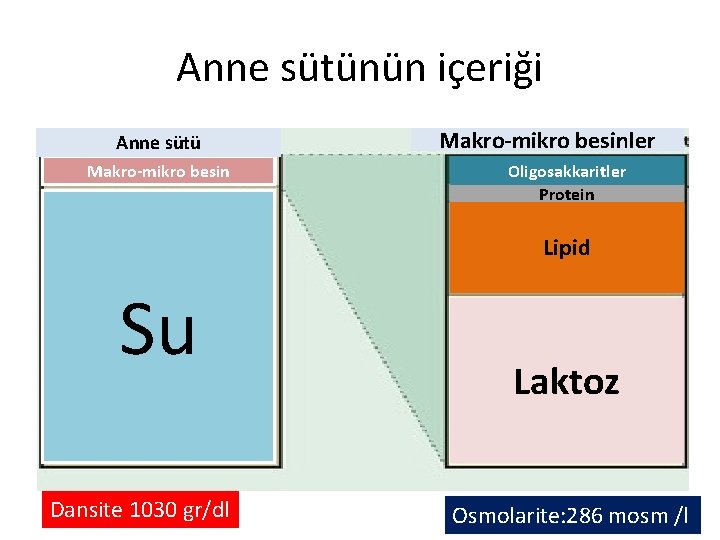 Anne sütünün içeriği Anne sütü Makro-mikro besinler Oligosakkaritler Protein Lipid Su Dansite 1030 gr/dl